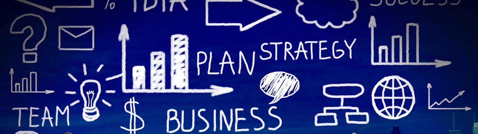 what is a business plan review